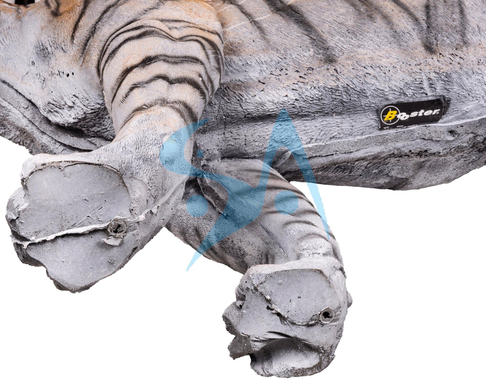 CIBLE 3D - TIGRE – Image 2