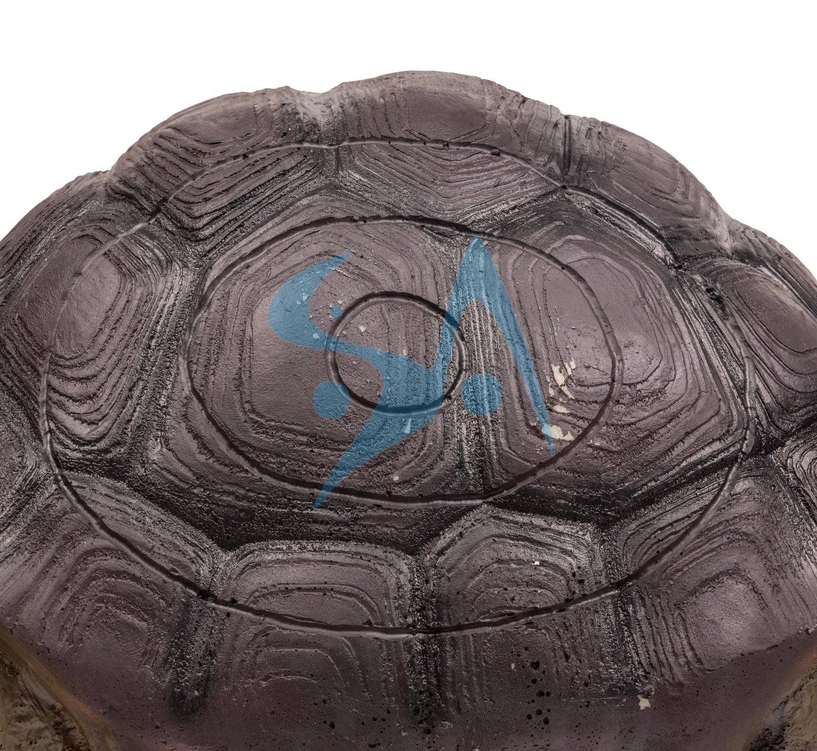 CIBLE 3D - TORTUE – Image 5