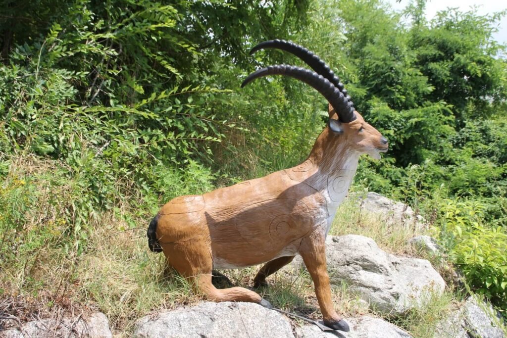 CIBLE 3D - BOUQUETIN SE LEVANT