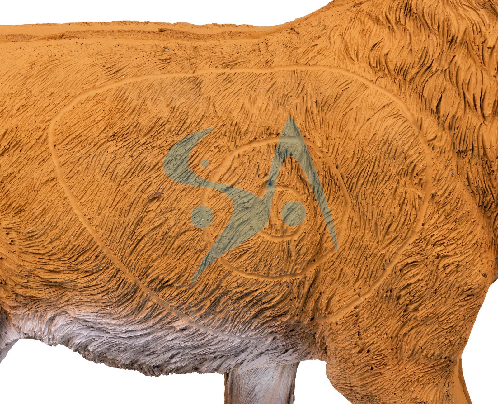 CIBLE 3D - RENARD – Image 7