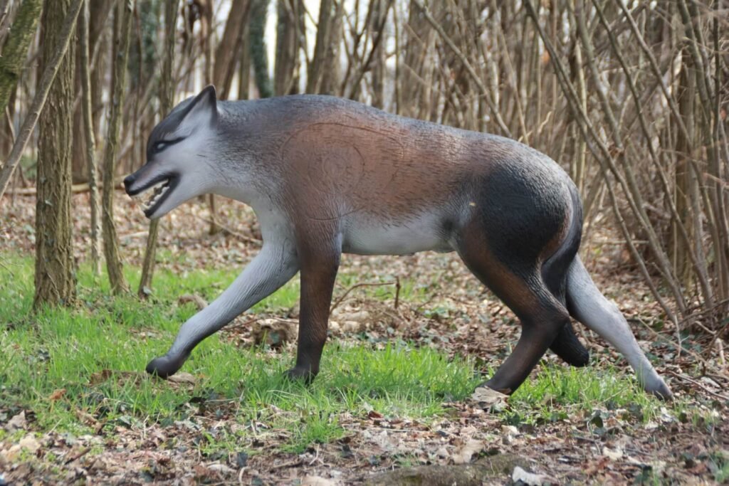CIBLE 3D - LOUP EUROPEEN