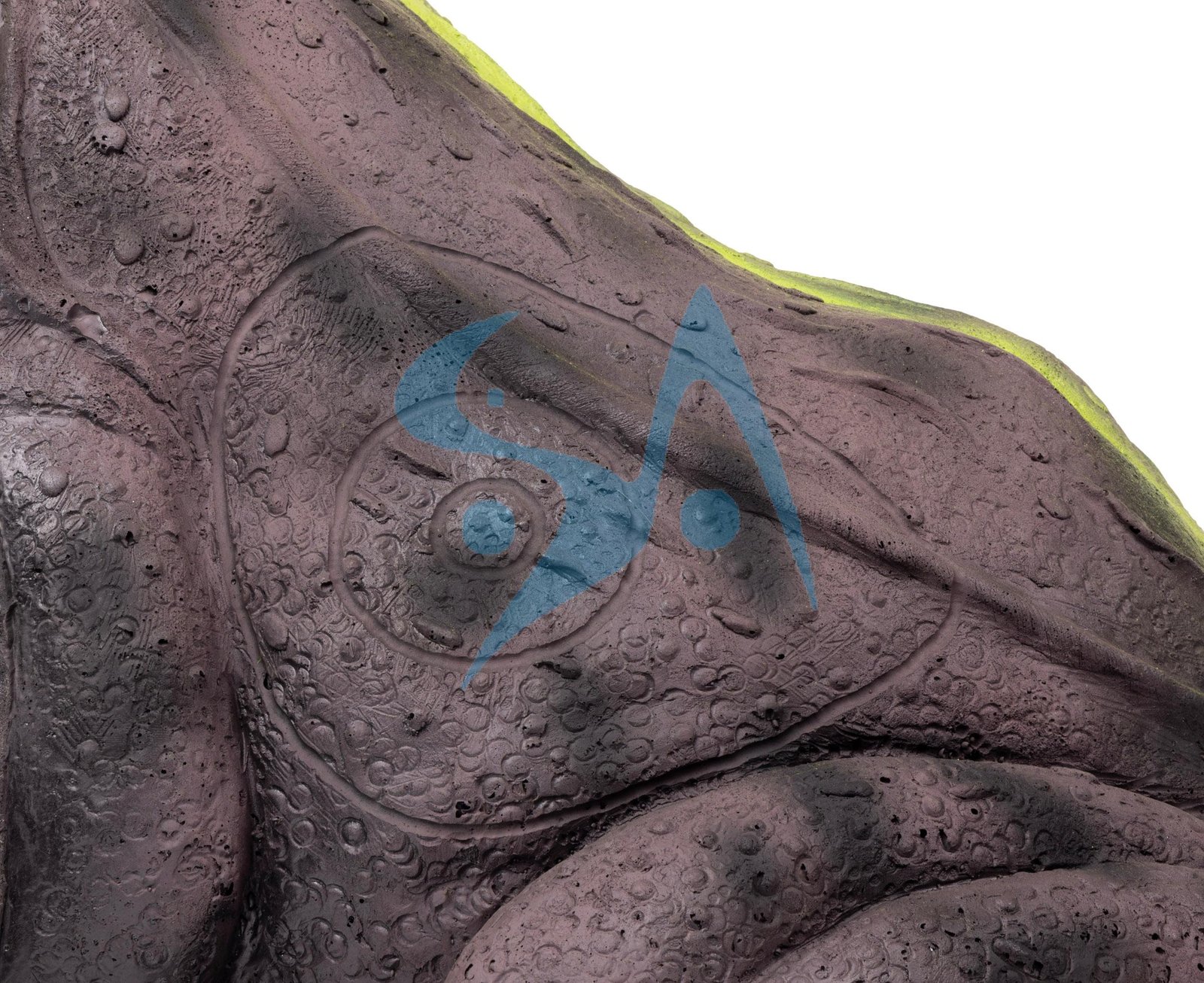CIBLE 3D - GRENOUILLE – Image 6