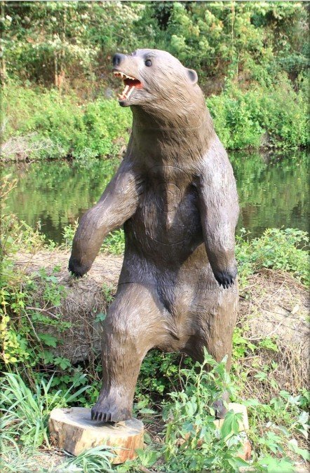 CIBLE 3D - OURS BRUN
