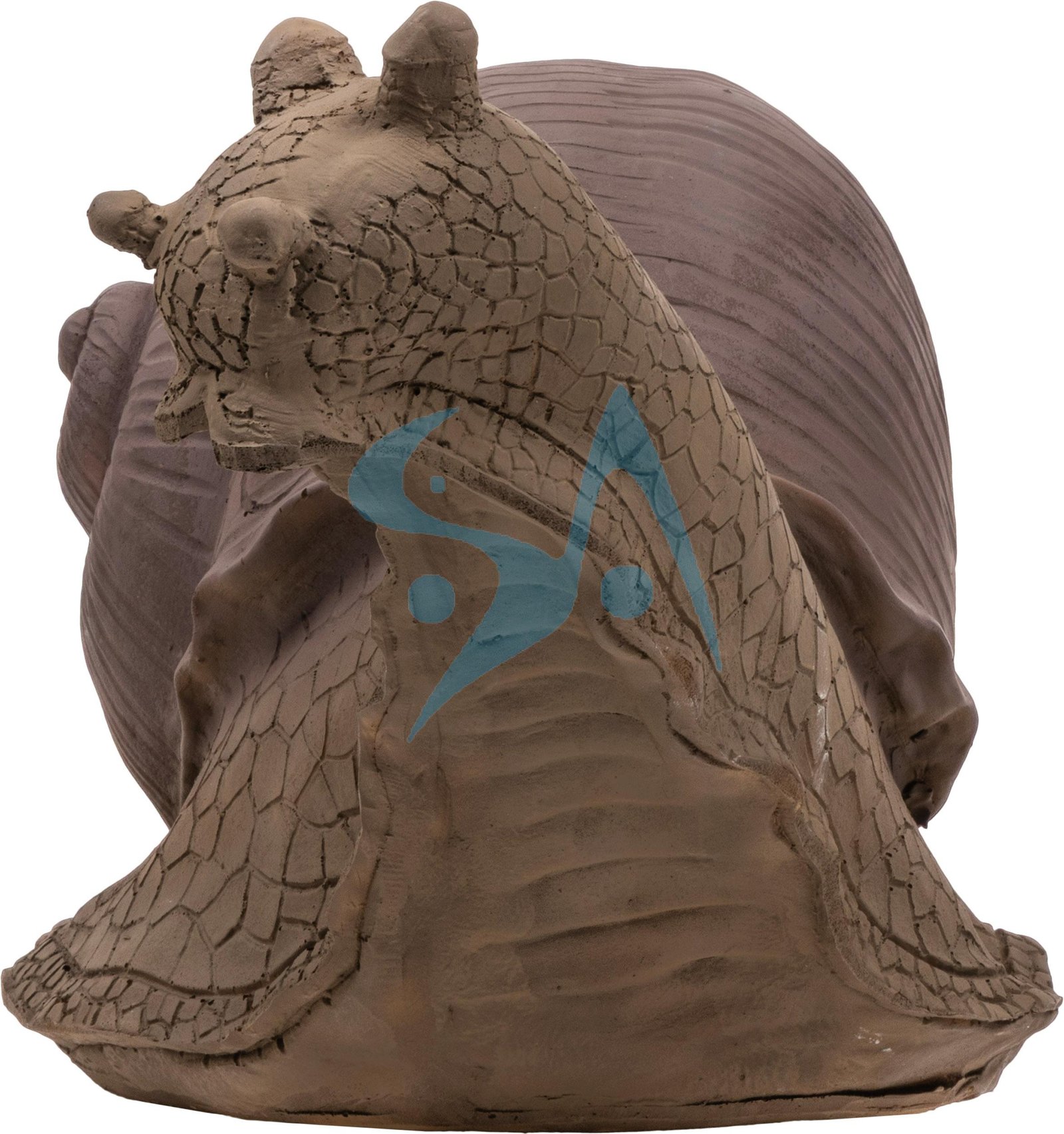CIBLE 3D - ESCARGOT – Image 5
