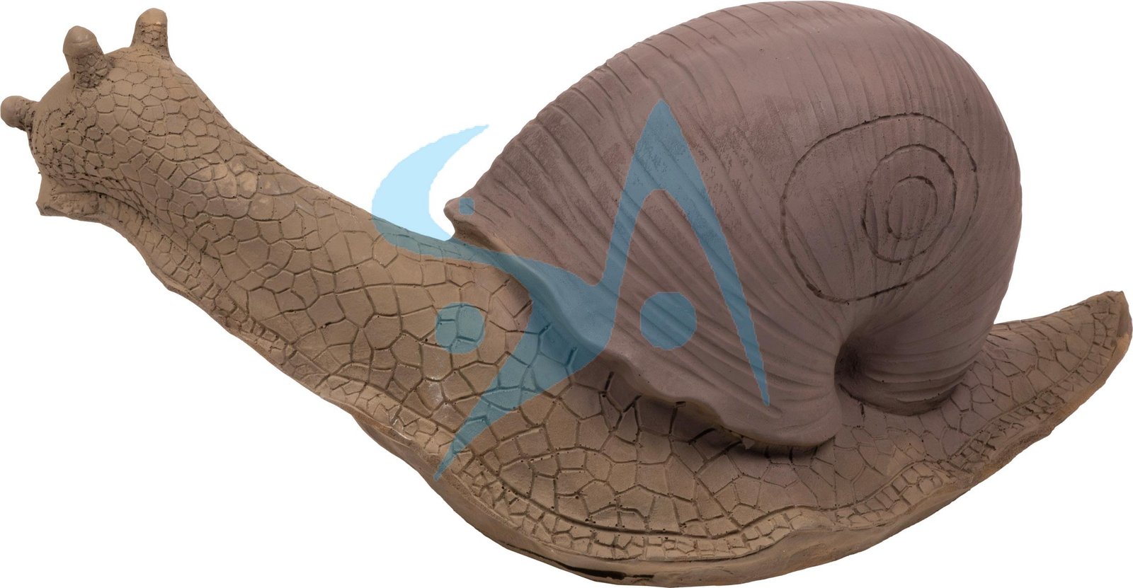 CIBLE 3D - ESCARGOT – Image 2