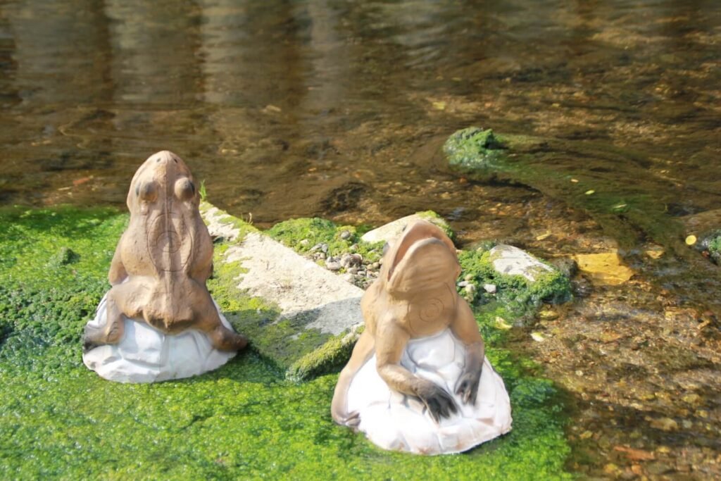CIBLE 3D - CRAPAUD