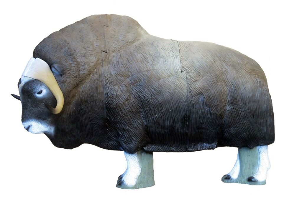 CIBLE 3D - MUSK OX