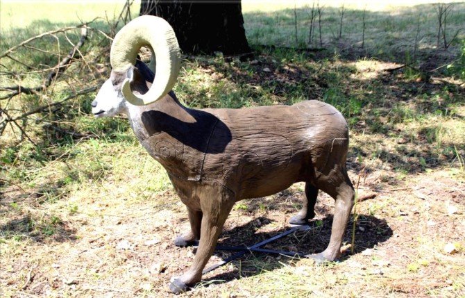 CIBLE 3D - MOUFLON CANADIEN