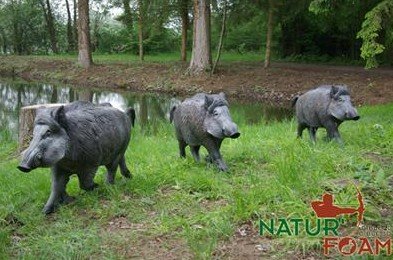 CIBLE 3D - WILD BOAR (SANGLIER) - WALKING