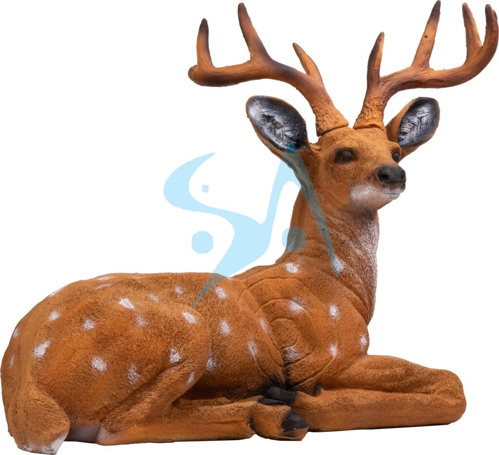 CIBLE 3D - CERF ASSIS