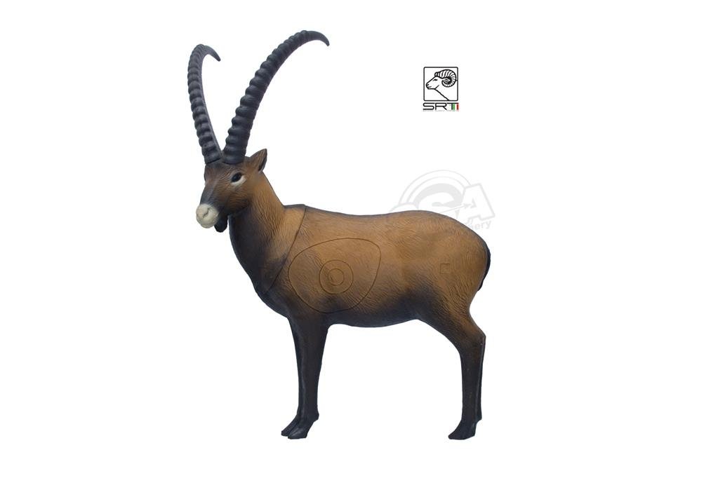CIBLE 3D - IBEX