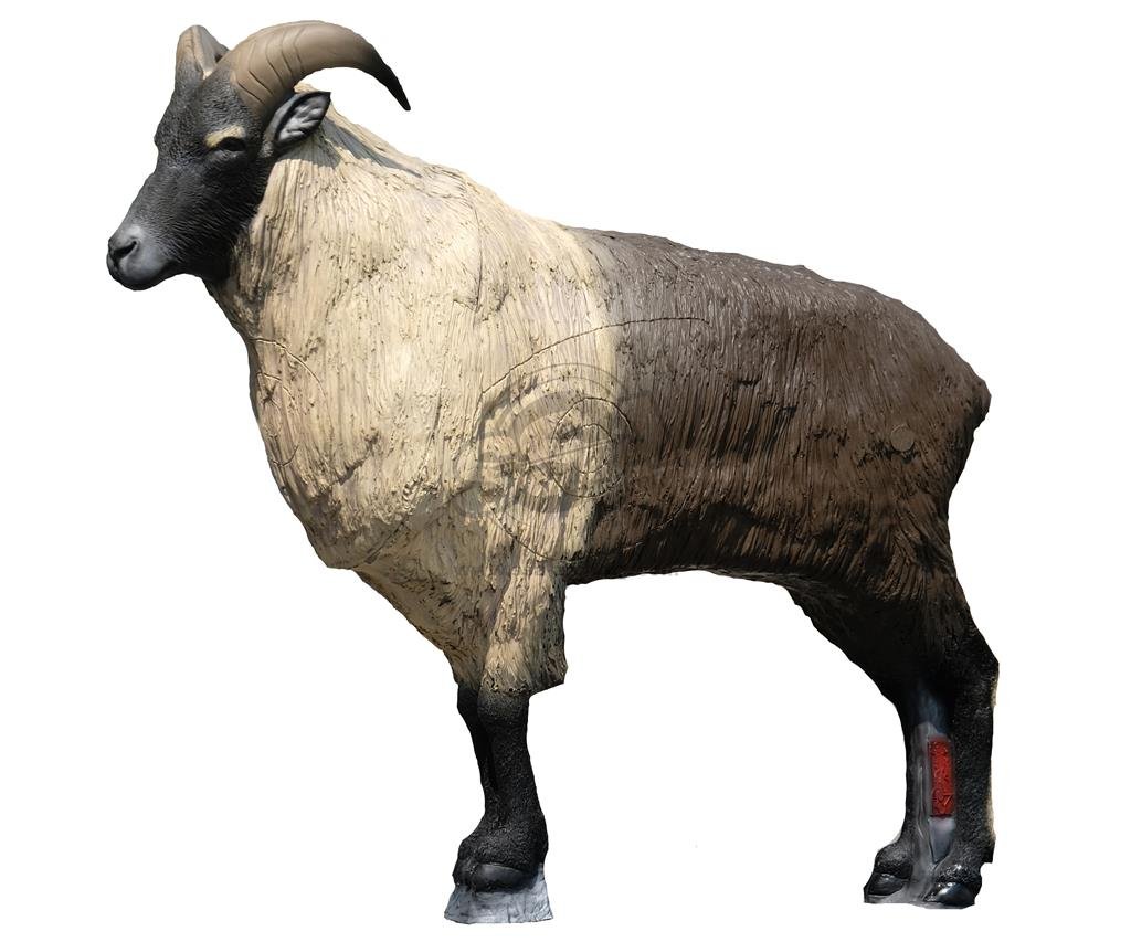 CIBLE 3D - HIMALAYAN TAHR