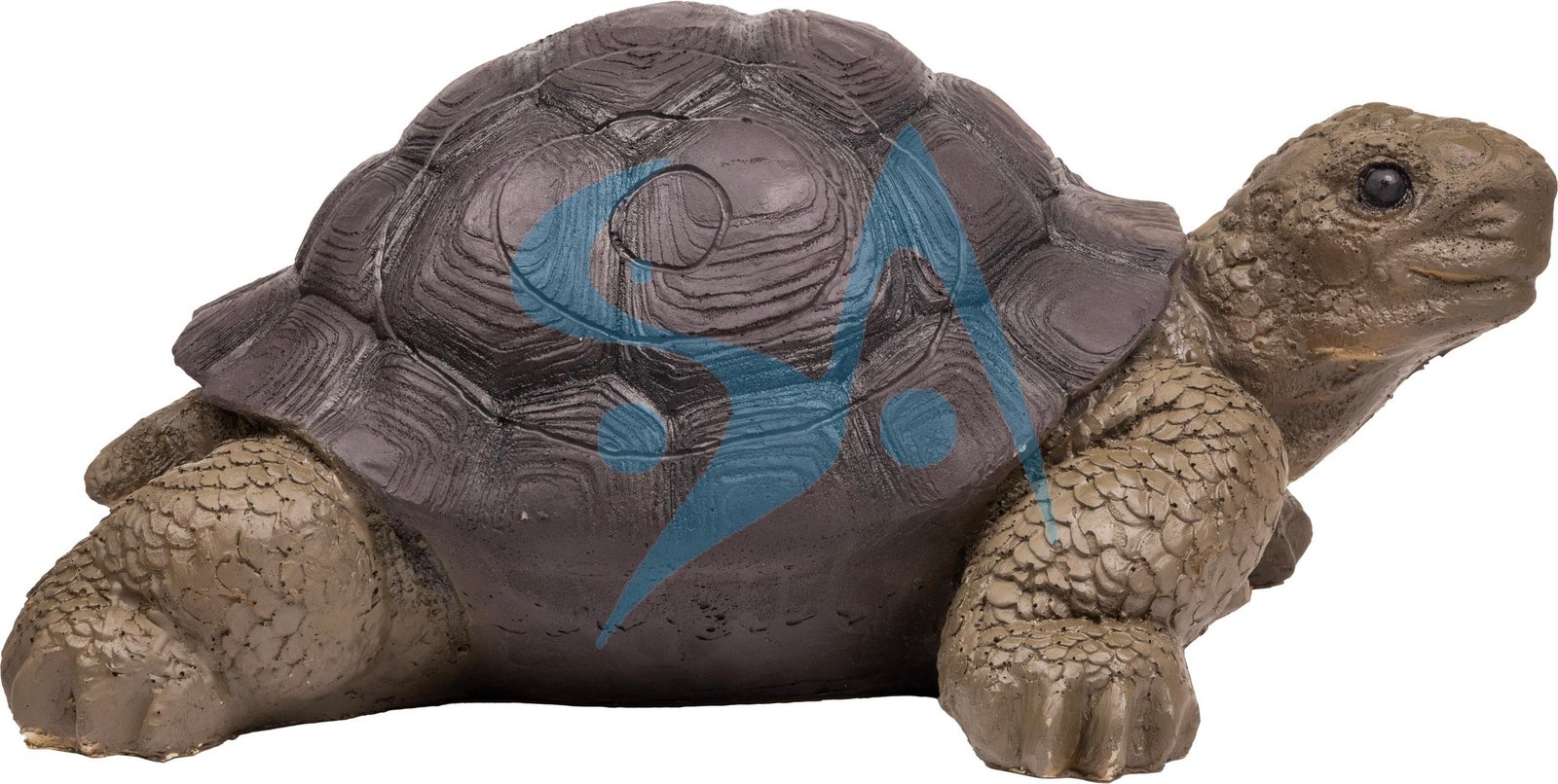 CIBLE 3D - TORTUE – Image 4