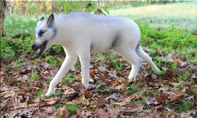 CIBLE 3D - LOUP ARCTIQUE