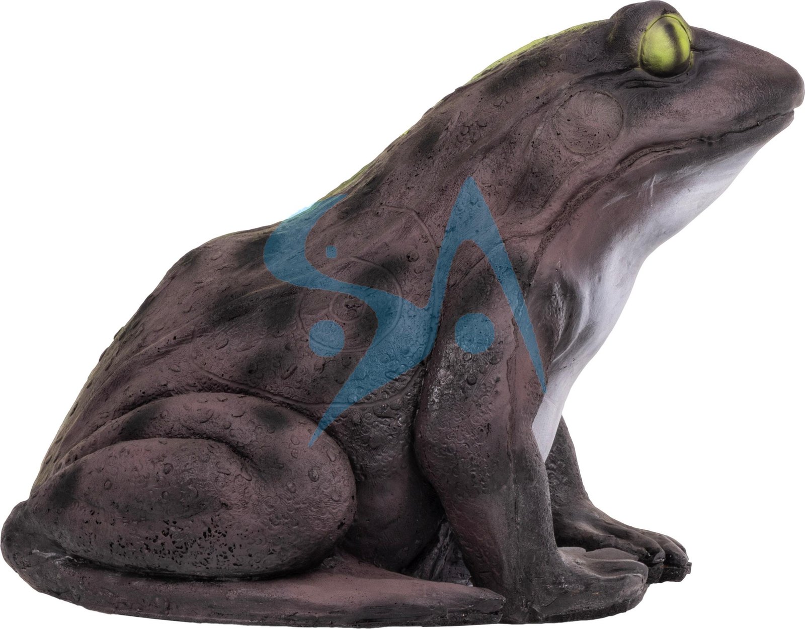 CIBLE 3D - GRENOUILLE – Image 4