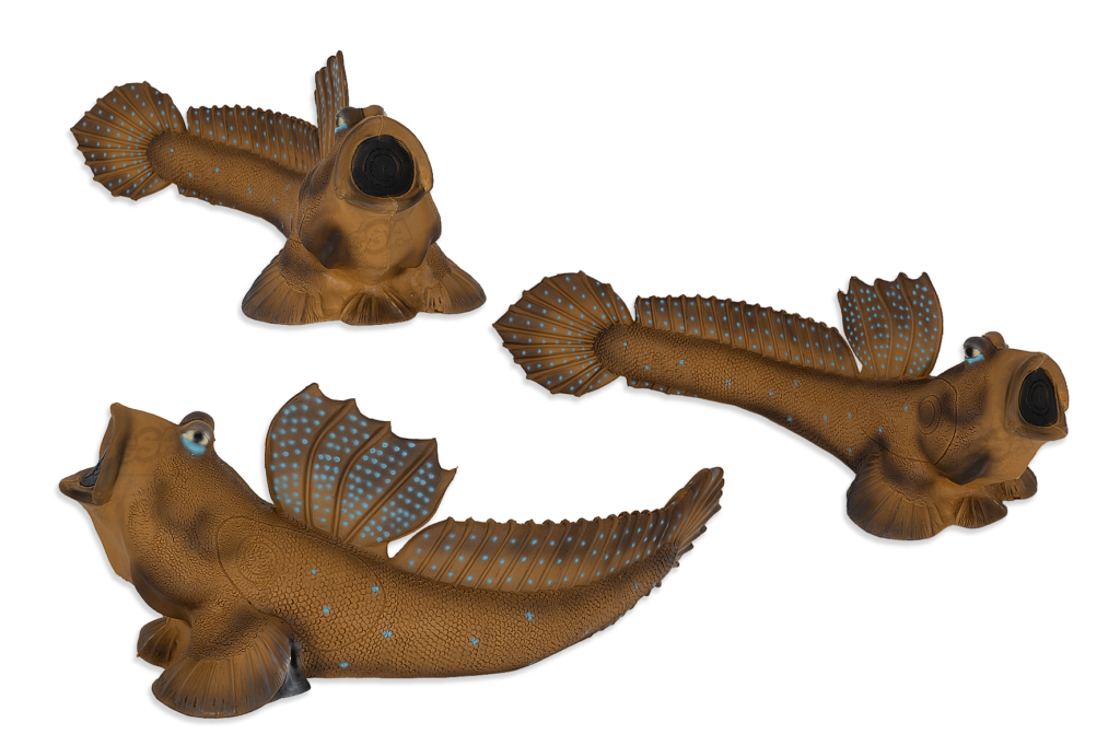 CIBLE 3D - SALTAFANGO MUDSKIPPER