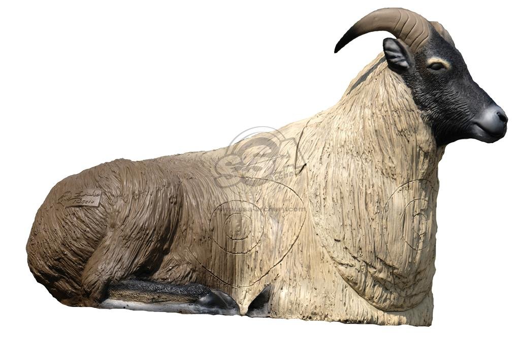 CIBLE 3D - HIMALAYAN TAHR COUCHE