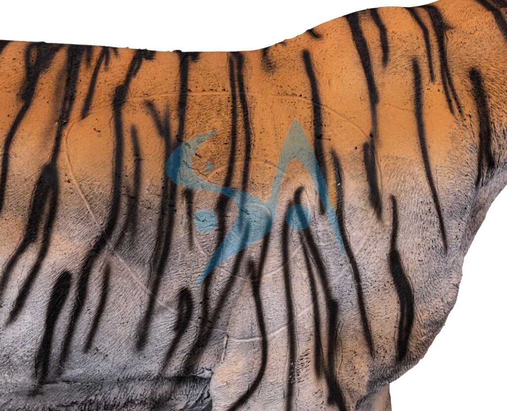 CIBLE 3D - TIGRE