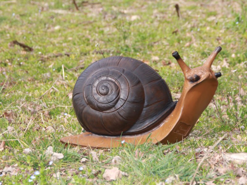 CIBLE 3D - ESCARGOT