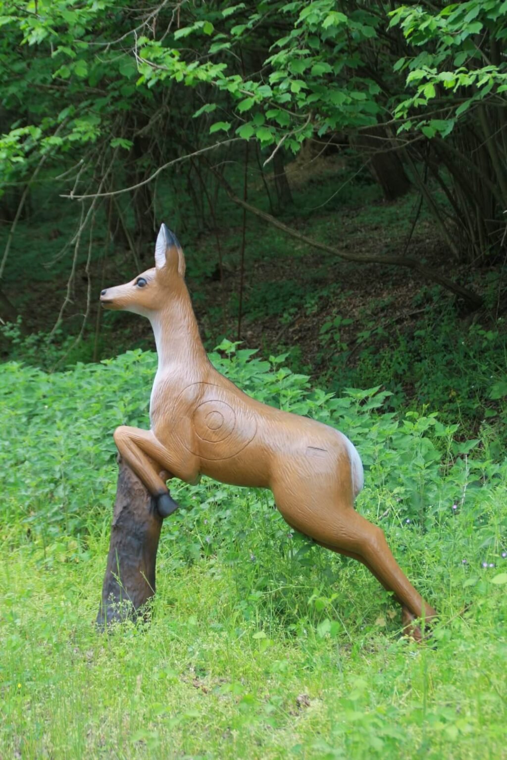 CIBLE 3D - CHEVREUIL SAUTANT