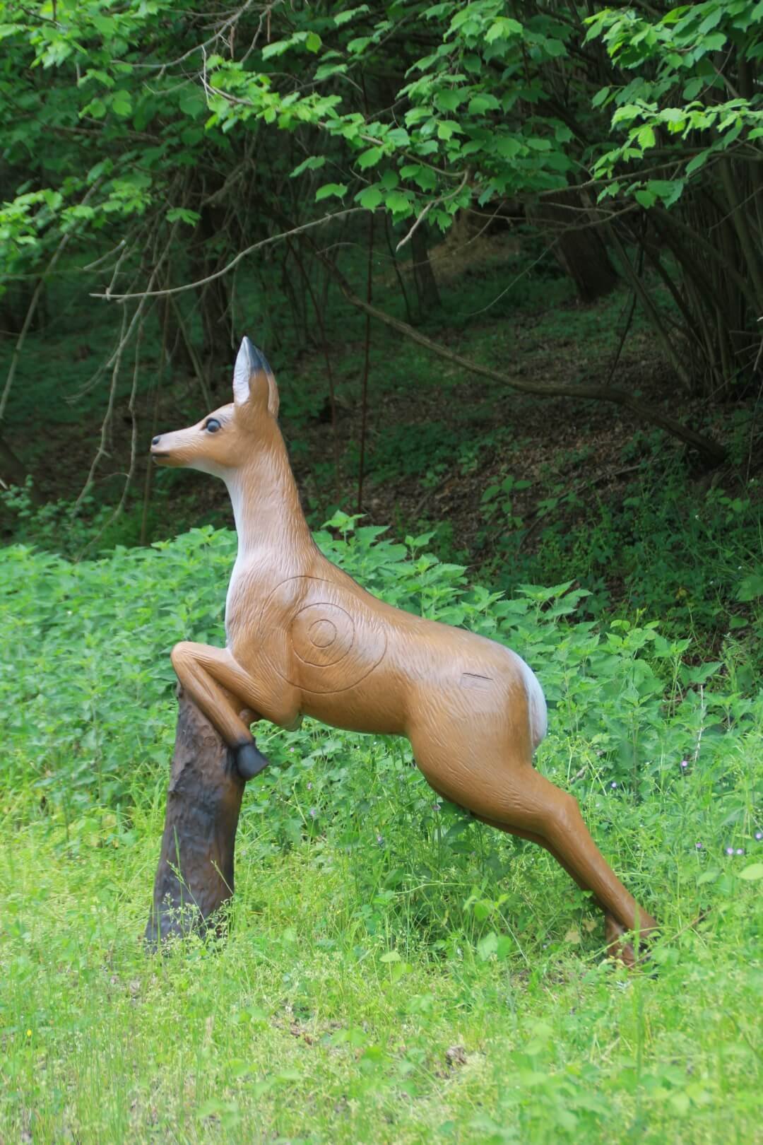 CIBLE 3D - CHEVREUIL SAUTANT