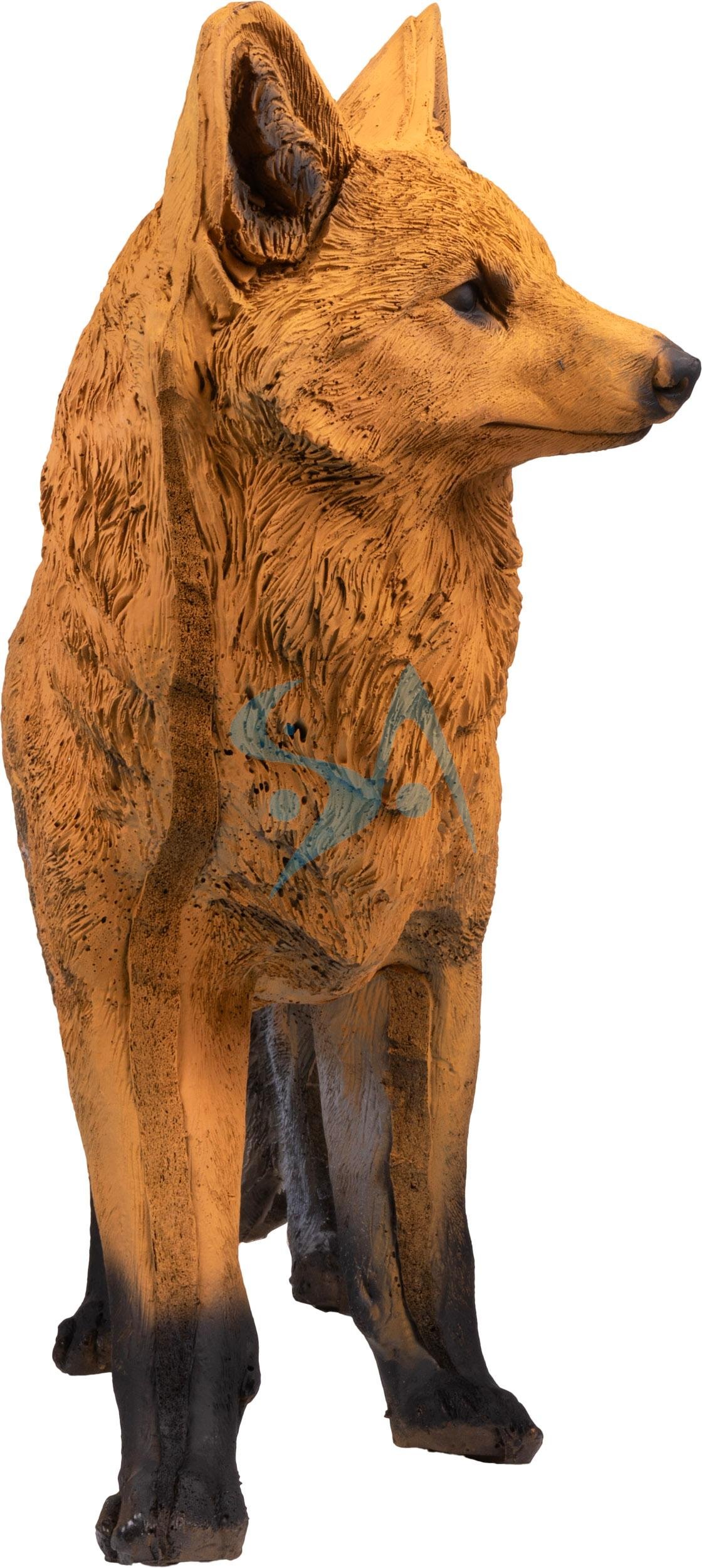CIBLE 3D - RENARD – Image 5