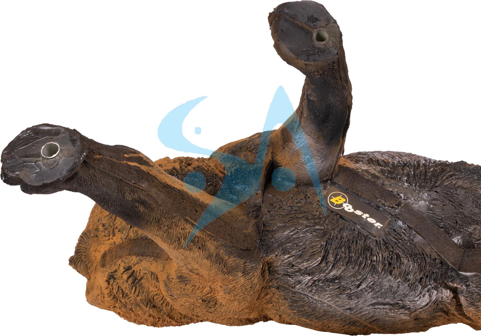 CIBLE 3D - RENARD – Image 8