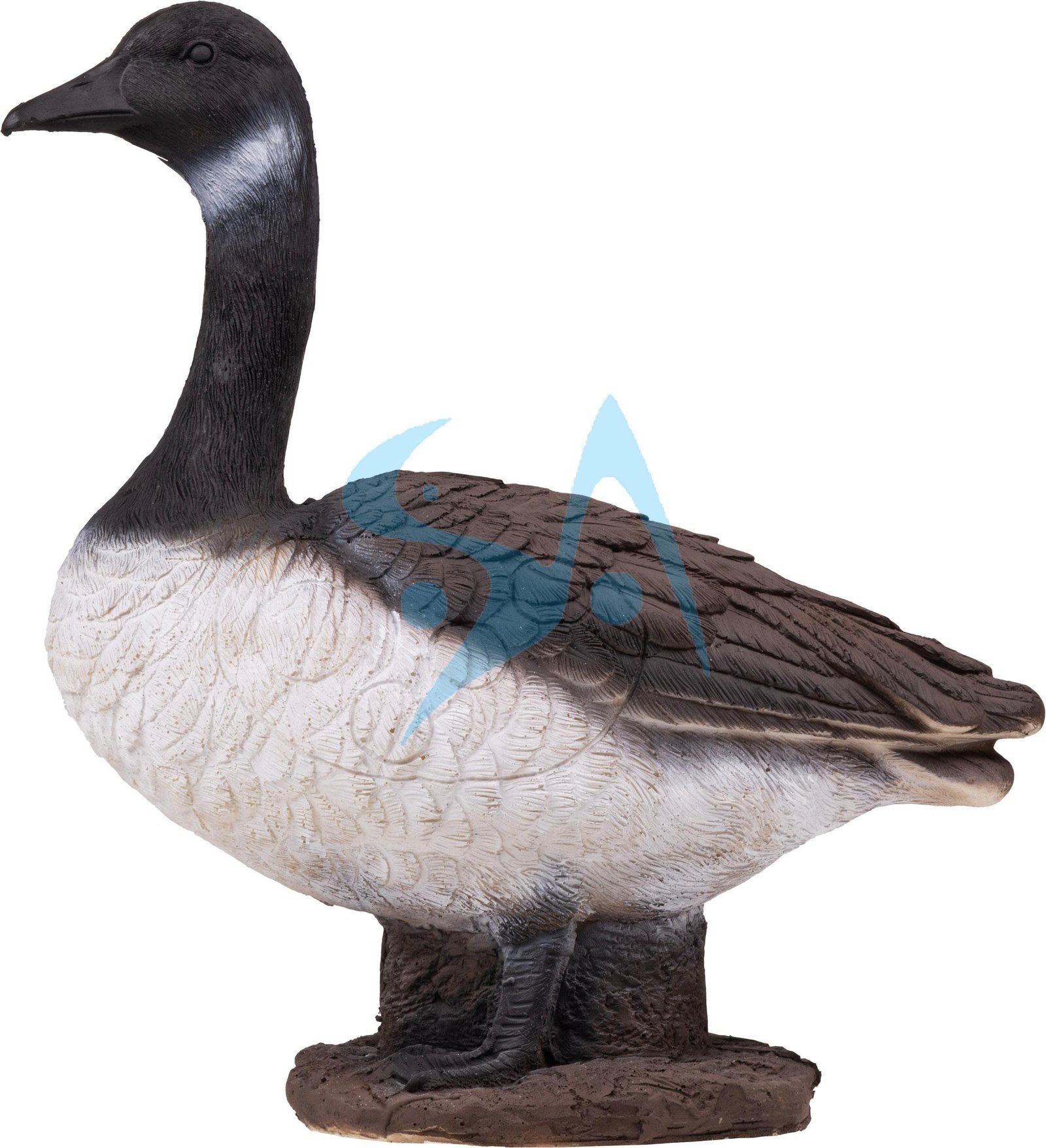 CIBLE 3D - OIE – Image 3