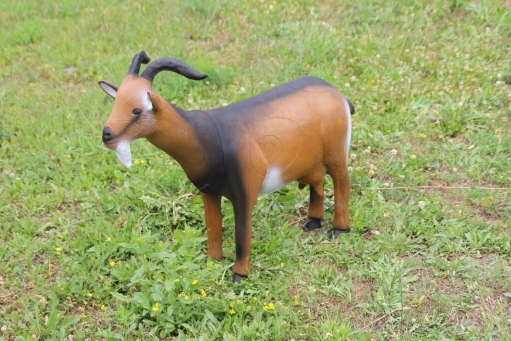 CIBLE 3D - CHEVRE NANE