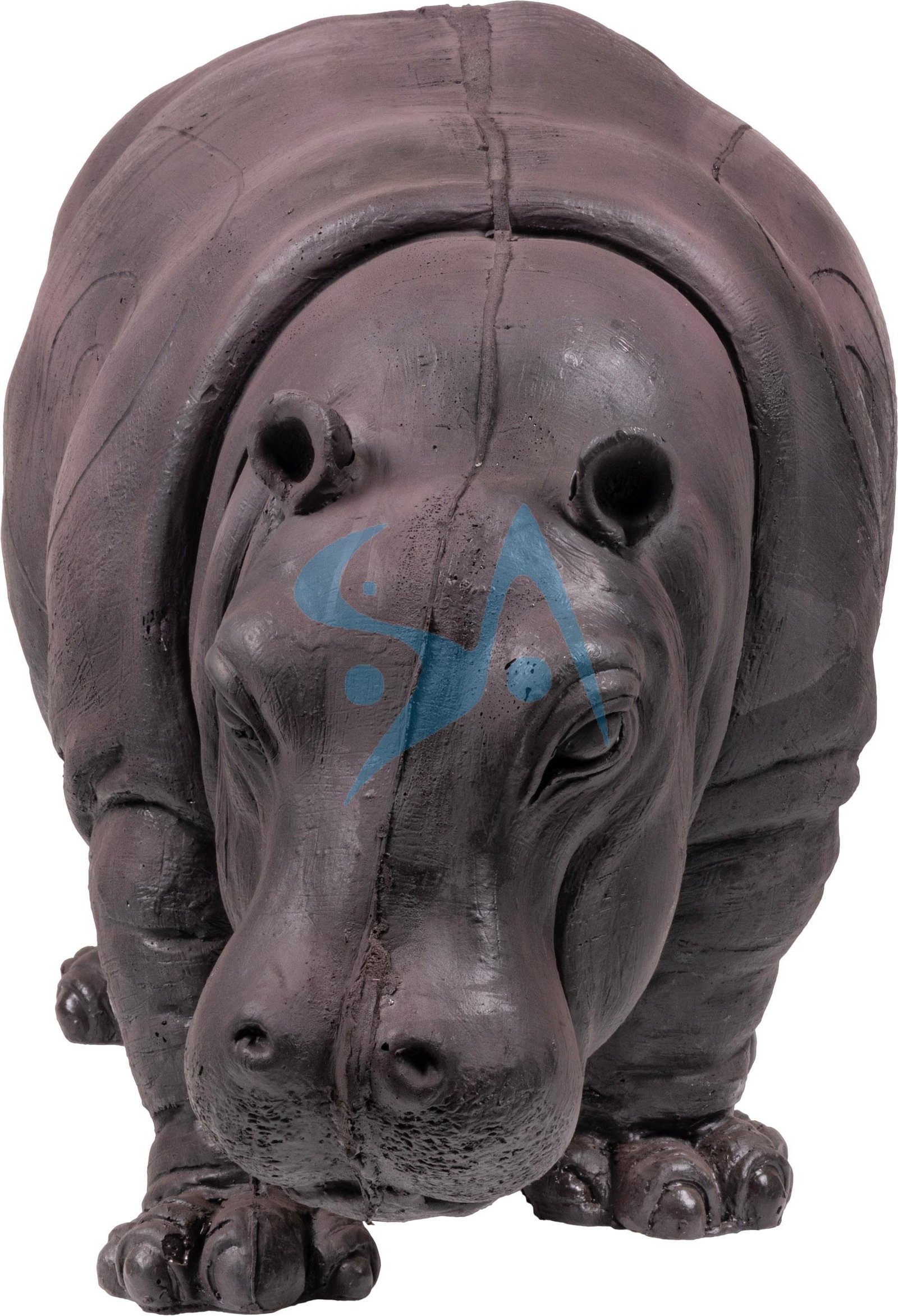 CIBLE 3D - HIPPOPOTAME – Image 5