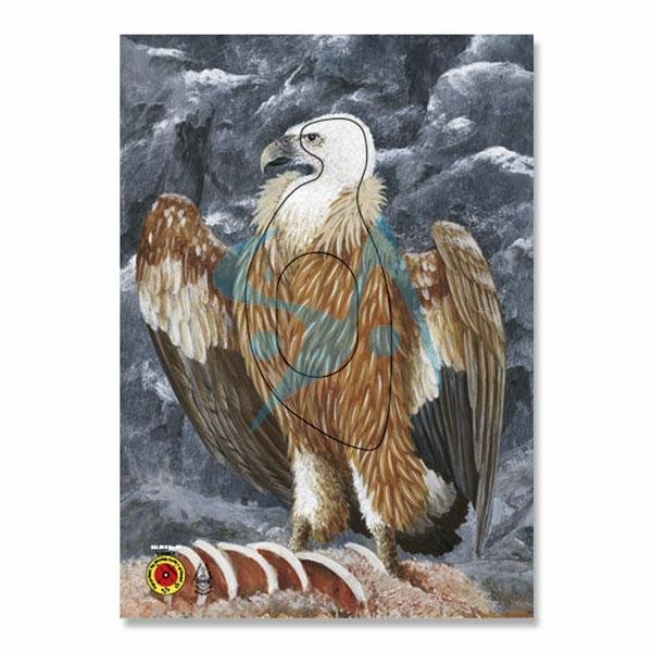 BLASON NATURE - ANIMAL GROUPE 3 – Image 6