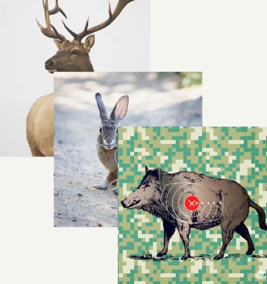 BLASON NATURE - ANIMAL FACES