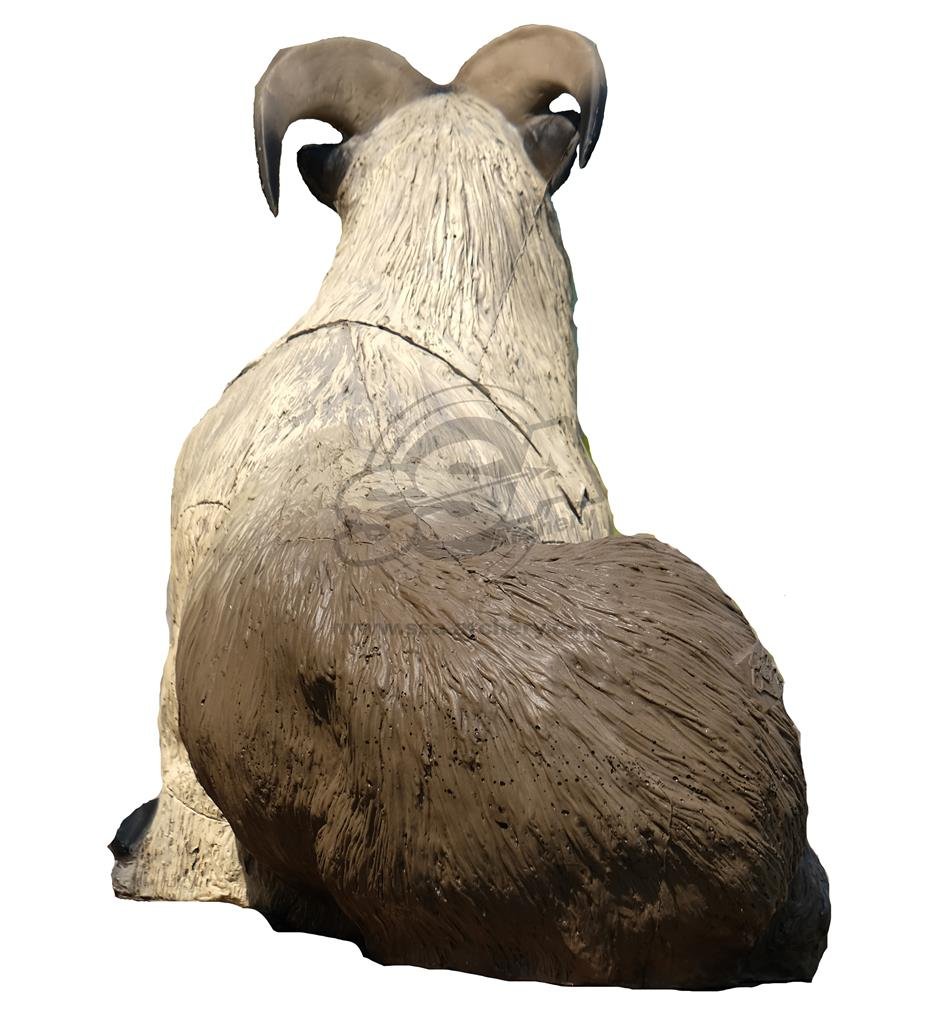 CIBLE 3D - HIMALAYAN TAHR COUCHE – Image 4