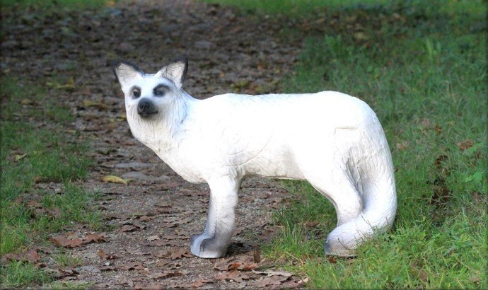 CIBLE 3D - RENARD ARCTIQUE