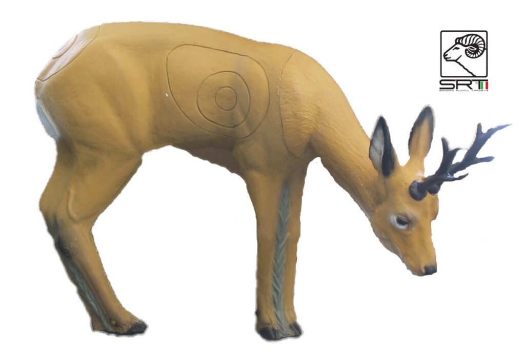 CIBLE 3D - CHEVREUIL GRAZING