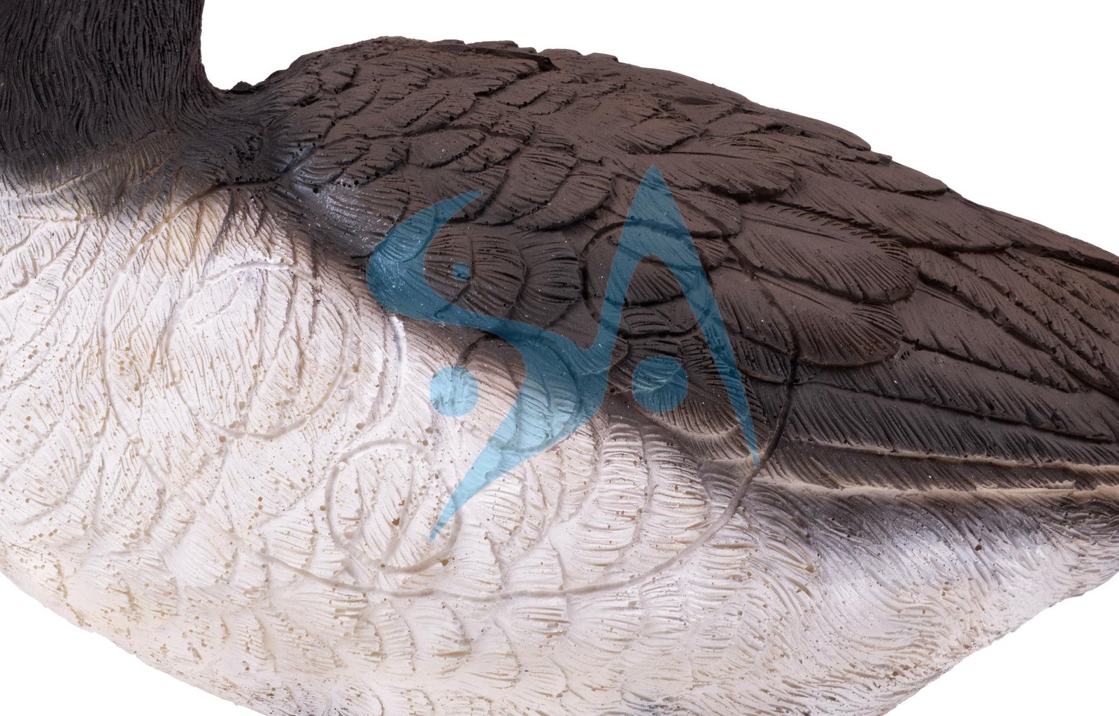 CIBLE 3D - OIE – Image 6