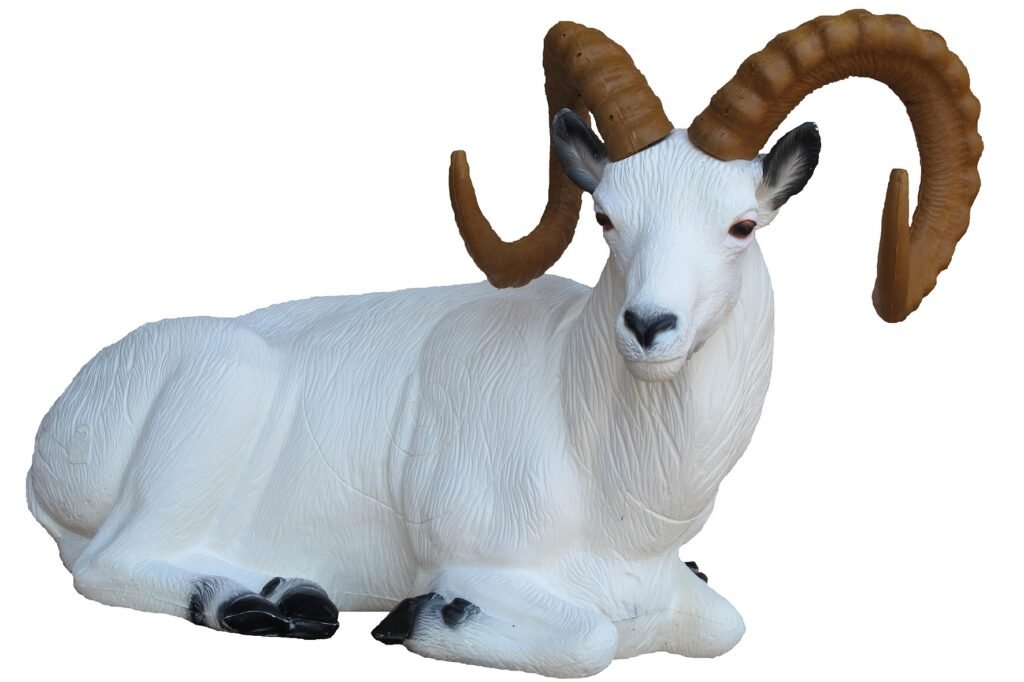 CIBLE 3D - DALL SHEEP BEDDED