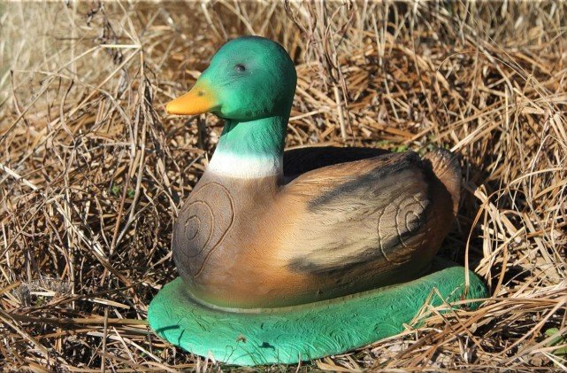 CIBLE 3D - CANARD