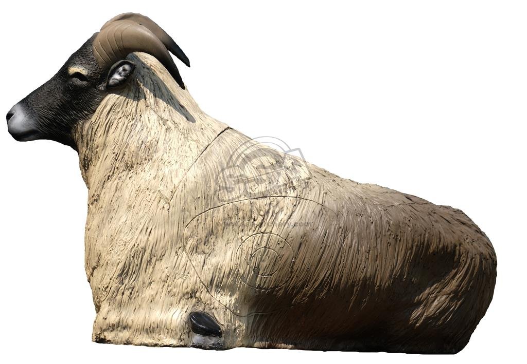CIBLE 3D - HIMALAYAN TAHR COUCHE – Image 3