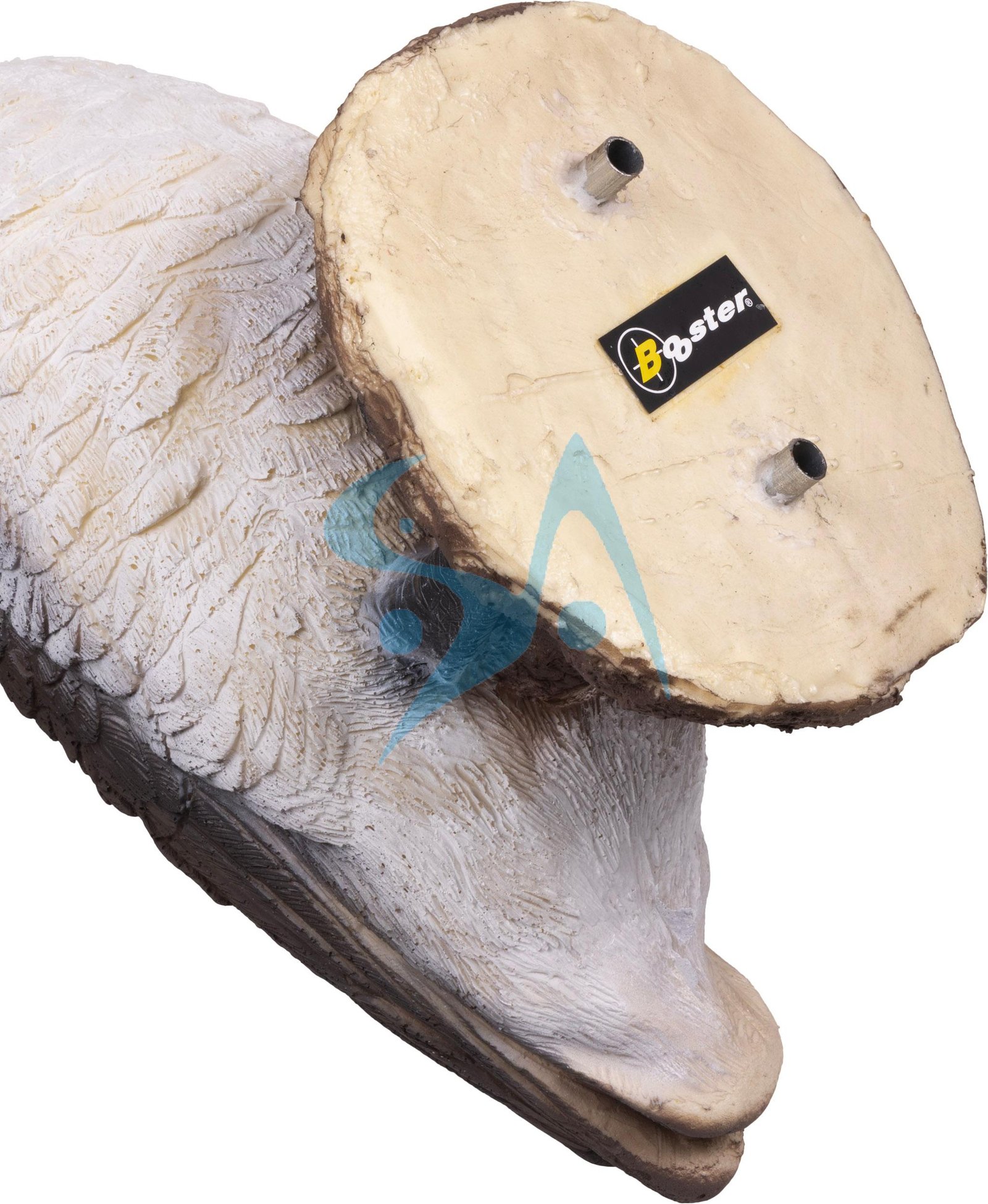 CIBLE 3D - OIE – Image 8