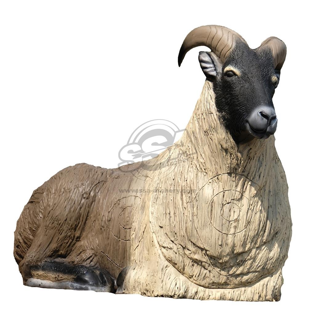CIBLE 3D - HIMALAYAN TAHR COUCHE – Image 2