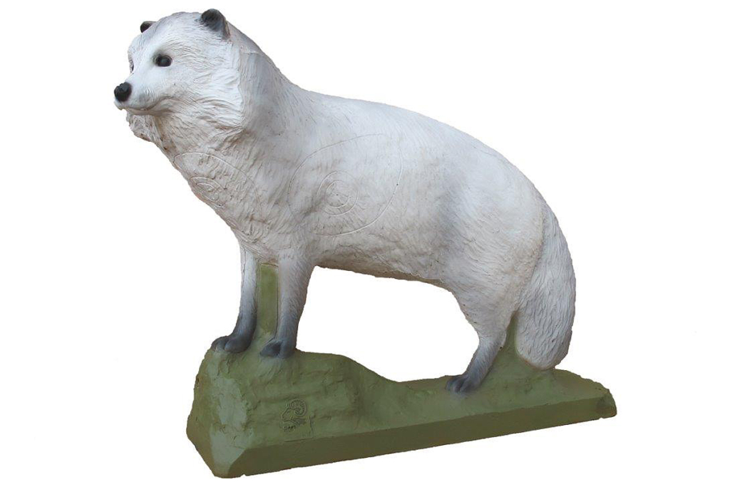 CIBLE 3D - TANUKI