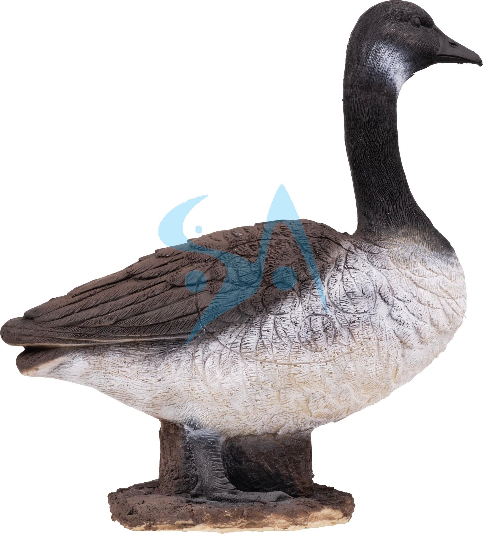 CIBLE 3D - OIE – Image 4
