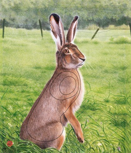BLASON - NATURE FACE ANIMAL - IFAA – Image 4