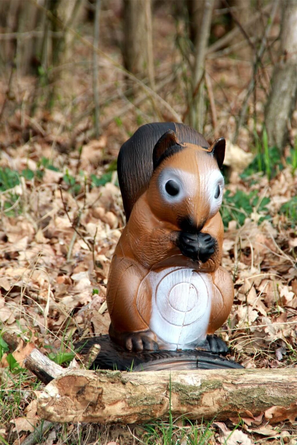CIBLE 3D - ECUREUIL QUI MANGE