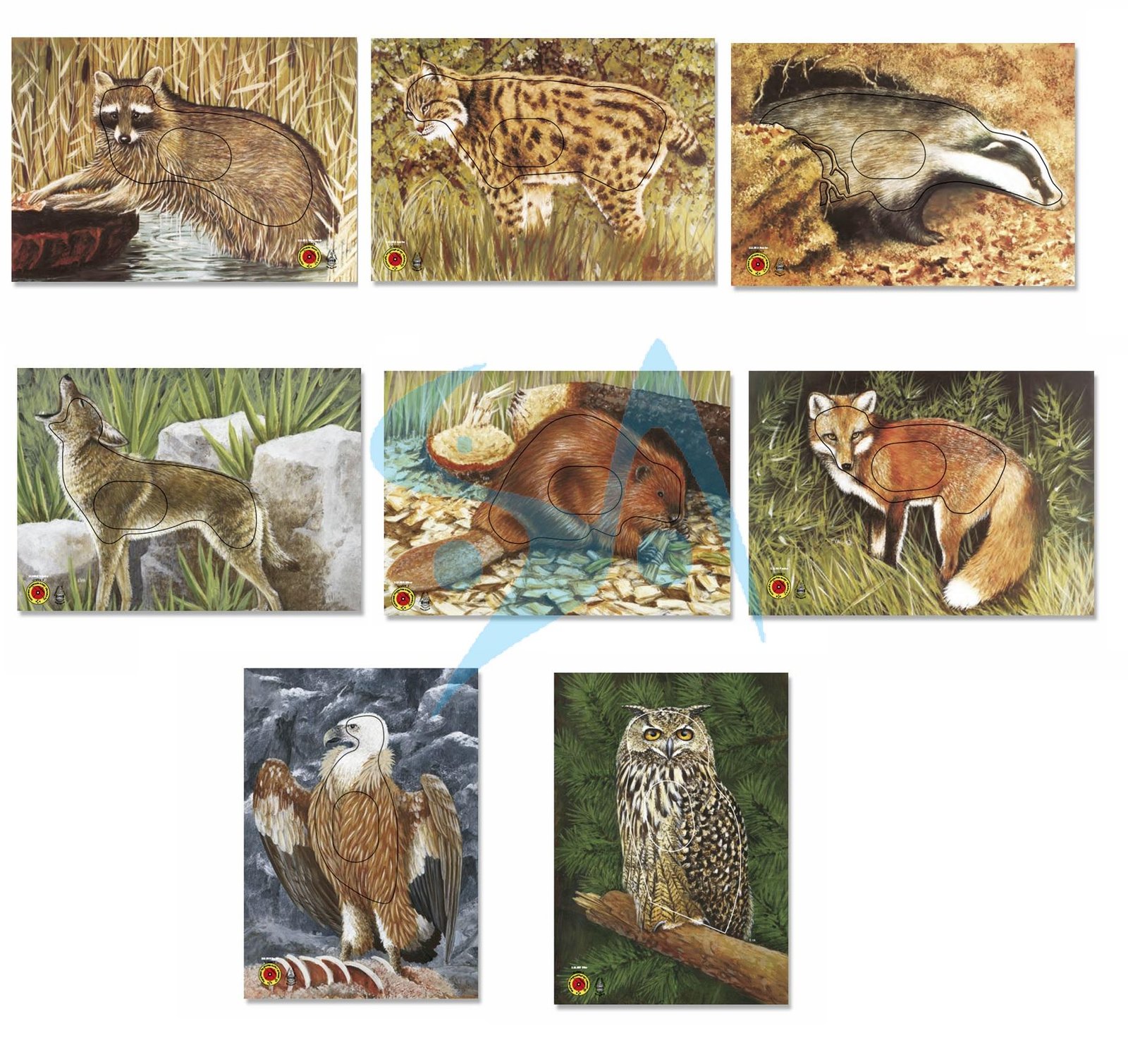 BLASON NATURE - ANIMAL GROUPE 3