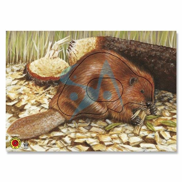 BLASON NATURE - ANIMAL GROUPE 3 – Image 7