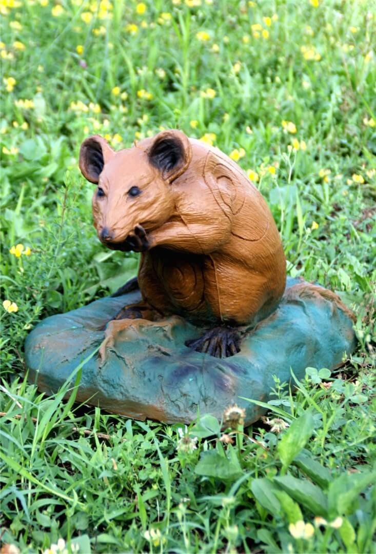 CIBLE 3D - RAT