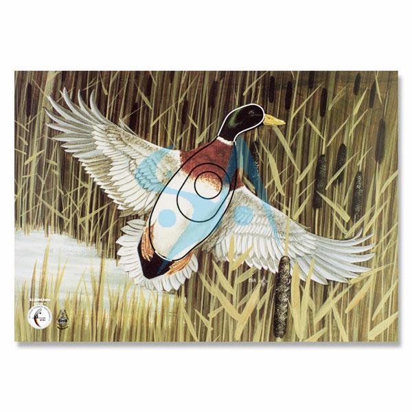 BLASON NATURE - ANIMAL GROUPE 4 – Image 9