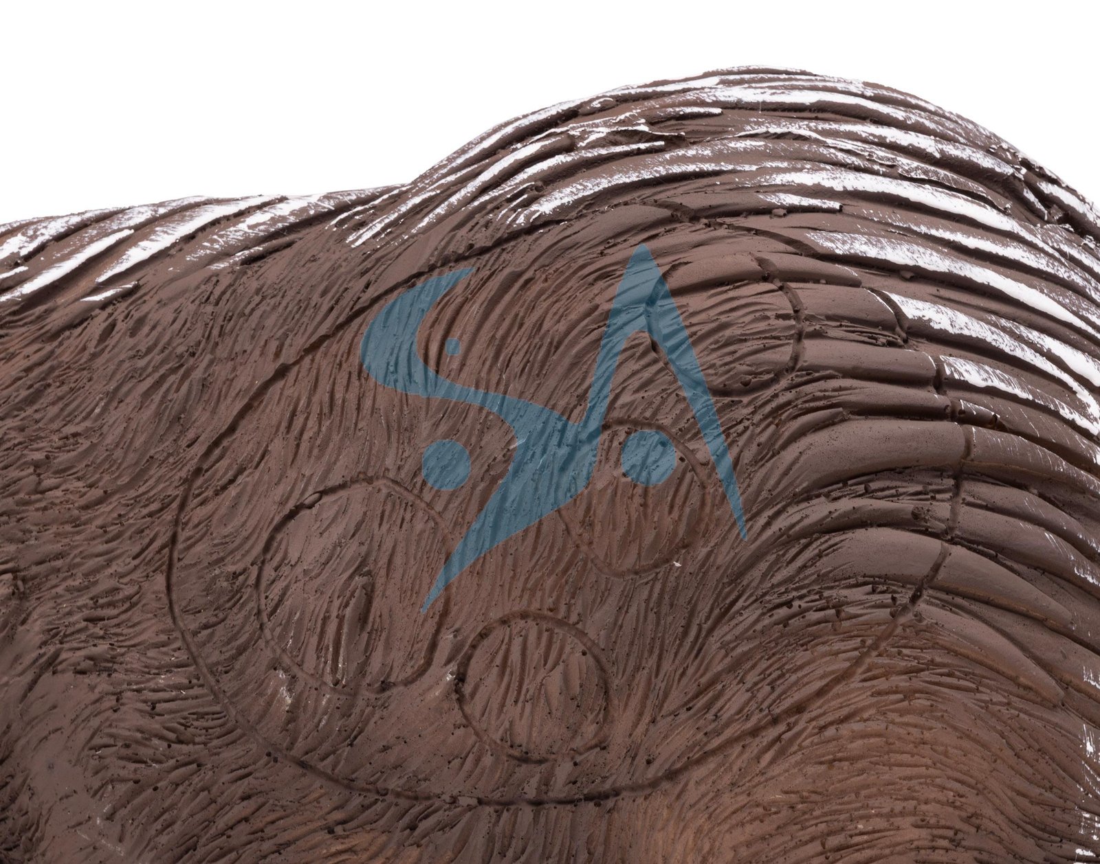 CIBLE 3D - HERISSON – Image 6